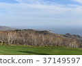 Sea overlooking the grassland 37149597