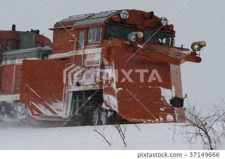 Soya main line Russell car 37149666