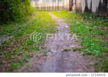 A small walkway. 37149939