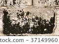 Old cement wall with fungus 37149960