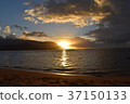 Dusk of Hawaii 37150133