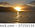 Dusk of Hawaii 37150134