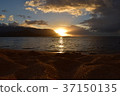 Dusk of Hawaii 37150135