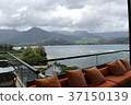 Sea view from the lounge 37150139