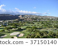 Oahu cityscape 37150140