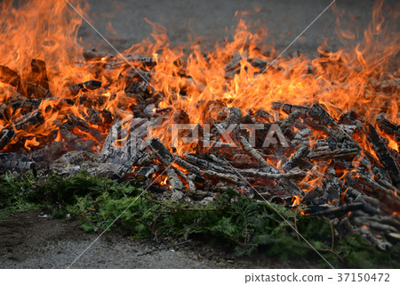 火步行突襲 火步行突襲 37150472