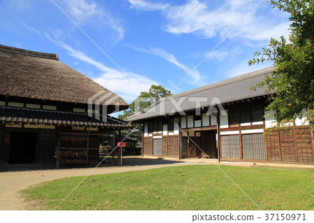 足立區城市農業公園Tenyamon 足立區城市農業公園Tenyamon 37150971