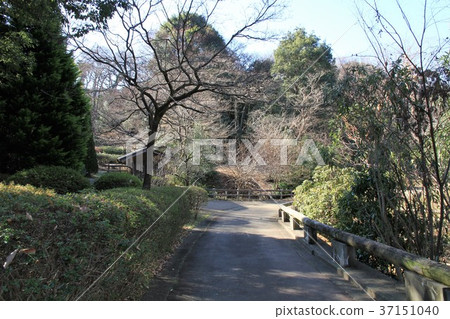 東京町田市Sasagaya公園 東京町田市Sasagaya公園 37151040