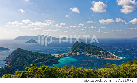 柏市 柏市 37151072