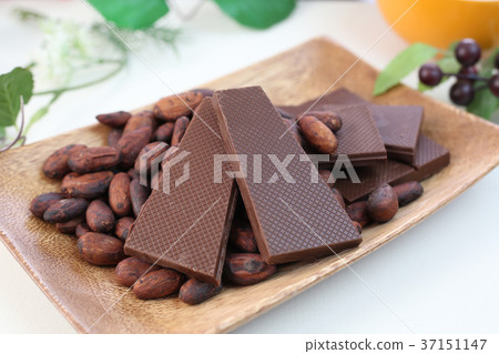 Chocolate 37151147
