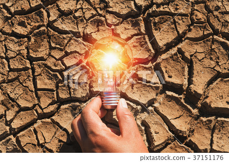 hand holding light bulb on soil arid.concept power hand holding light bulb on soil arid.concept power 37151176
