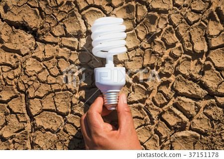 hand holding light bulb on soil arid.concept power hand holding light bulb on soil arid.concept power 37151178