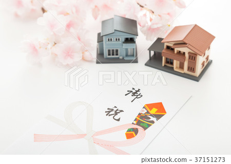 celebration 37151273