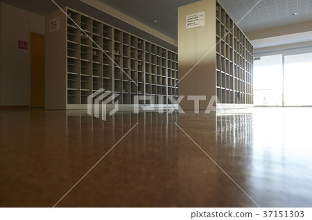 小學 小學 37151303