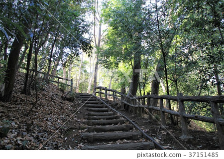 東京町田市Sasagaya公園 東京町田市Sasagaya公園 37151485