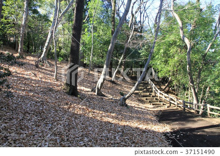 Tokyo Machida City Sasagaya Park Tokyo Machida City Sasagaya Park 37151490