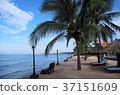 Resort seaside _ sightseeing spot _ Mui Ne 2 37151609