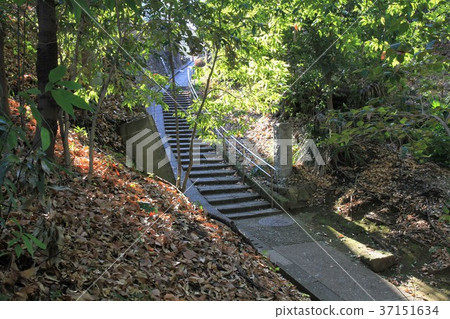 東京町田市Sasagaya公園 東京町田市Sasagaya公園 37151634