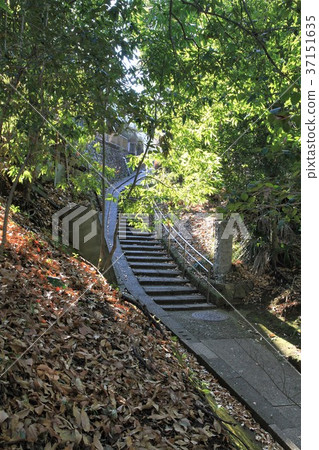 東京町田市Sasagaya公園 東京町田市Sasagaya公園 37151635