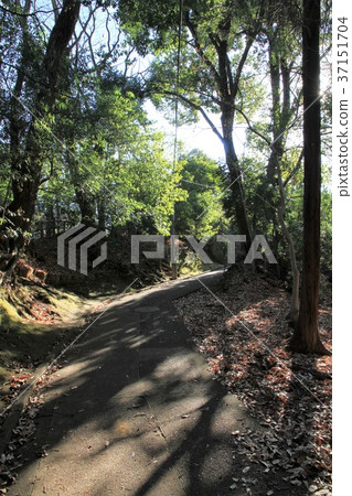 東京町田市Sasagaya公園 東京町田市Sasagaya公園 37151704