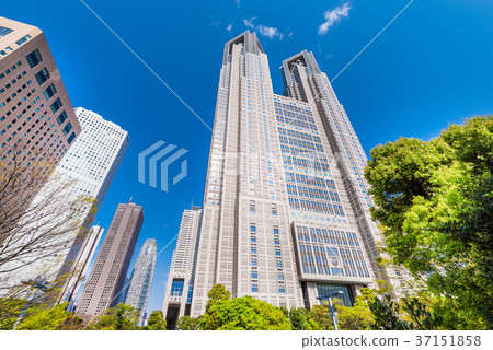 東京都 東京都 37151858