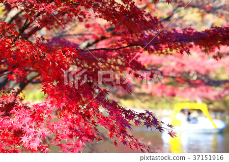 兒童的國家下降1 兒童的國家下降1 37151916