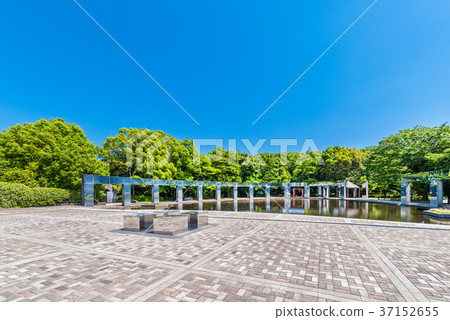 多摩中央公園 37152655