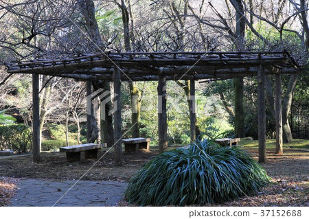 東京町田市Sasagaya公園 東京町田市Sasagaya公園 37152688