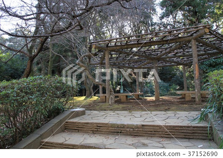 東京町田市Sasagaya公園 東京町田市Sasagaya公園 37152690