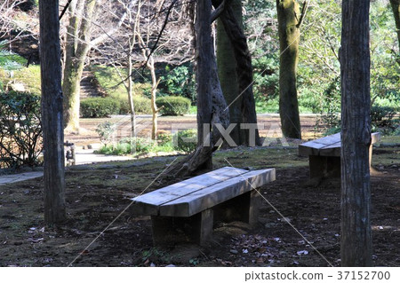 Tokyo Machida City Sasagaya Park Tokyo Machida City Sasagaya Park 37152700
