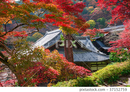 京都Zentsuji秋葉 37152759