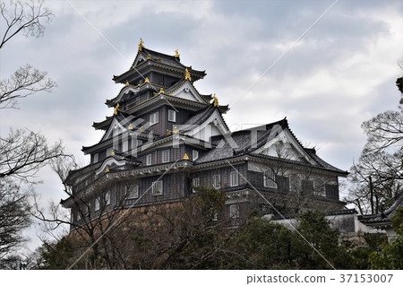 Okayama Castle Okayama Castle 37153007