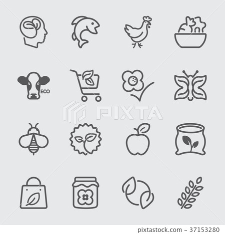 Organic line icon 37153280