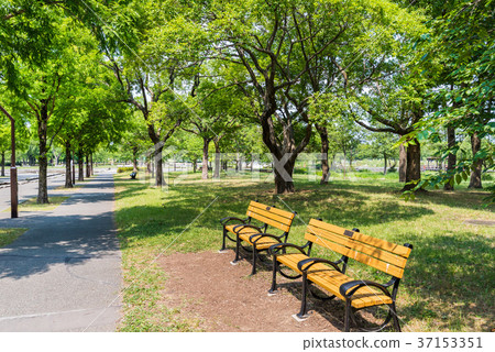 圖庫照片: 舍人公園 公園 長凳