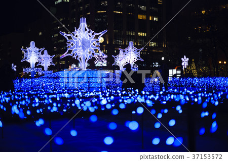 Sapporo White Illumination 37153572
