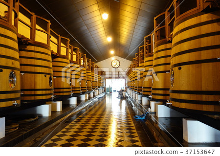 法國波爾多 法國波爾多 37153647