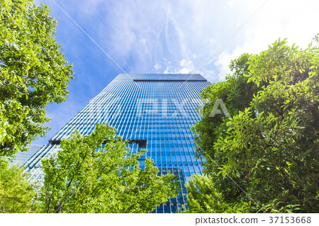 High-rise building in the office area and green 37153668