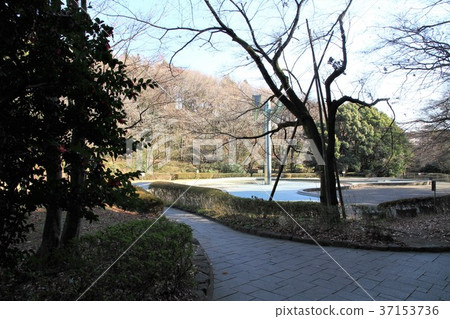 東京町田市Sasagaya公園 東京町田市Sasagaya公園 37153736