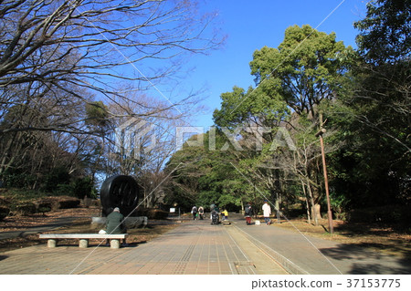 東京町田市Sasagaya公園 東京町田市Sasagaya公園 37153775