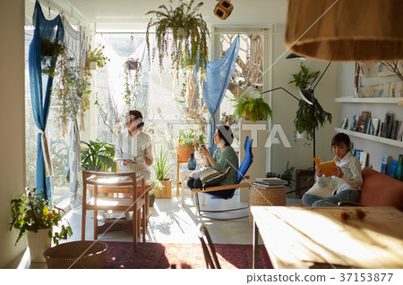 Female shared house 37153877