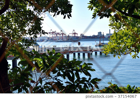 Shinagawa pier container group Shinagawa pier container group 37154067