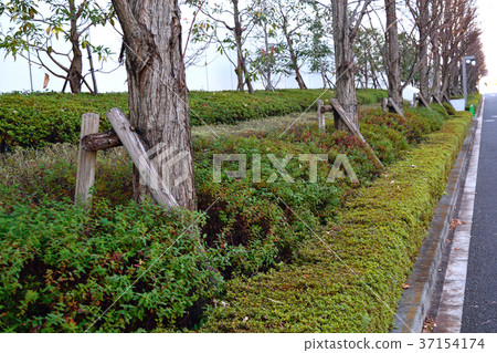 Winter city landscape Winter city landscape 37154174