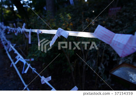 燦爛的陽光照在一排神聖的聖地上 37154359