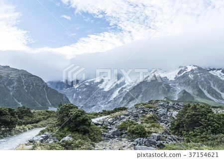 在庫克山國家公園的妓女谷卡車 在庫克山國家公園的妓女谷卡車 37154621