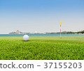 Golf ball , as hole  flag on green  37155203
