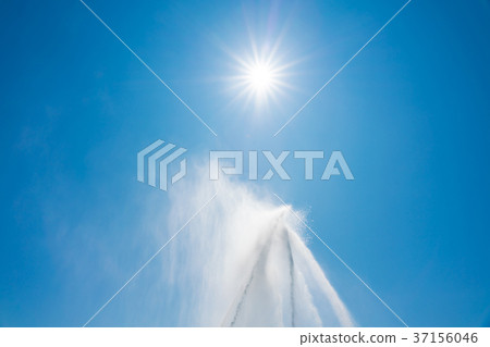 排水 排水 37156046