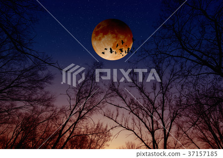 Total lunar eclipse, moon eclipse Total lunar eclipse, moon eclipse 37157185