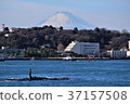 Fuji seen from Sarushima 37157508