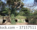 Deserted Island Sarushima 37157511