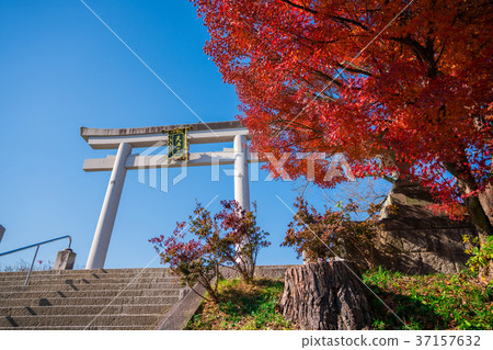 Nagaoka Tenmangu秋葉 37157632